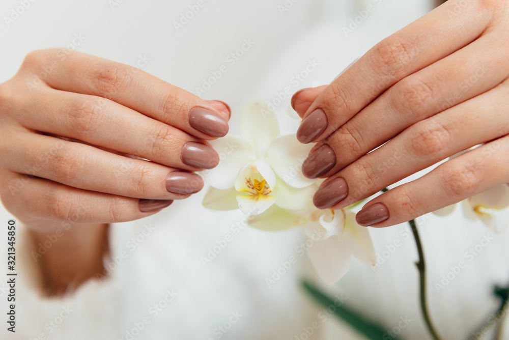 Beige manicure gel polish on beautiful oval nails of a woman in a white sweater with an orchid flower. Beige manicure gel polish on beautiful oval nails of a woman in a white sweater with an orchid flower.