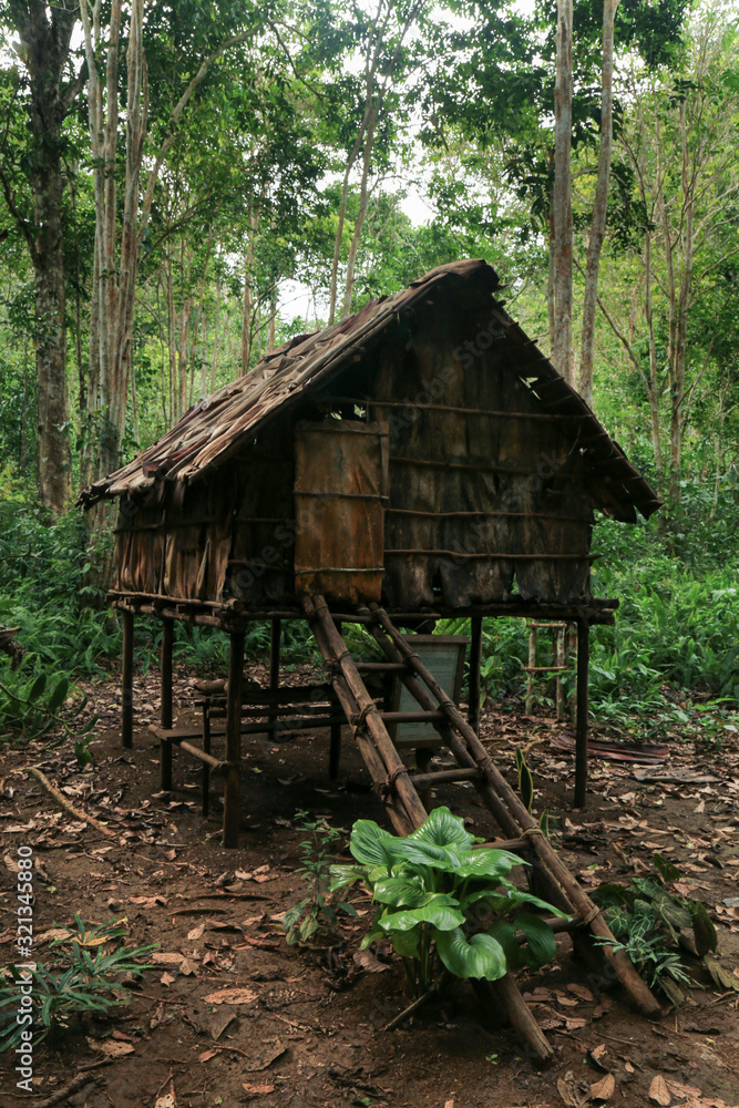 Alfred Russel Wallace shelter in the dense jungle of Raja Ampat, West Papua province, Indonesia Alfred Russel Wallace shelter in the dense jungle of Raja Ampat, West Papua province, Indonesia