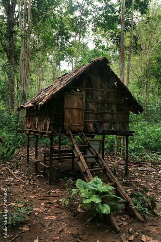 Alfred Russel Wallace shelter in the dense jungle of Raja Ampat  West Papua province  Indonesia
