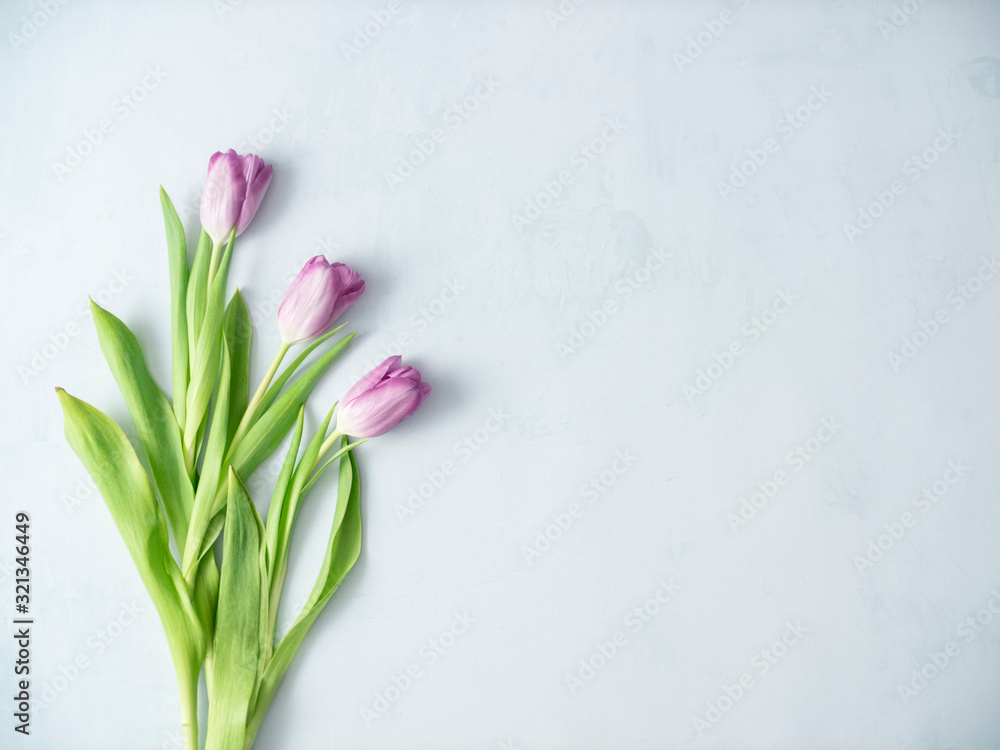 Purple tulips and on bright background. Decorations and background. Purple tulips and on bright background. Decorations and background.