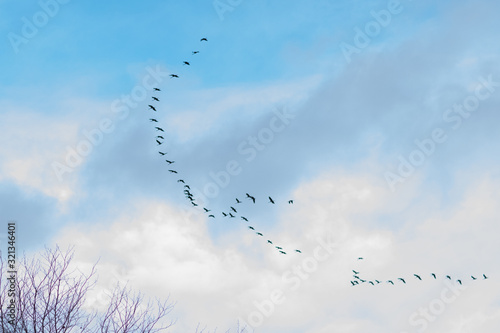 A string of birds in the sky with the ability to overlay in various modes.