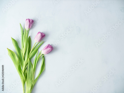 Purple tulips and on bright background. Decorations and background.