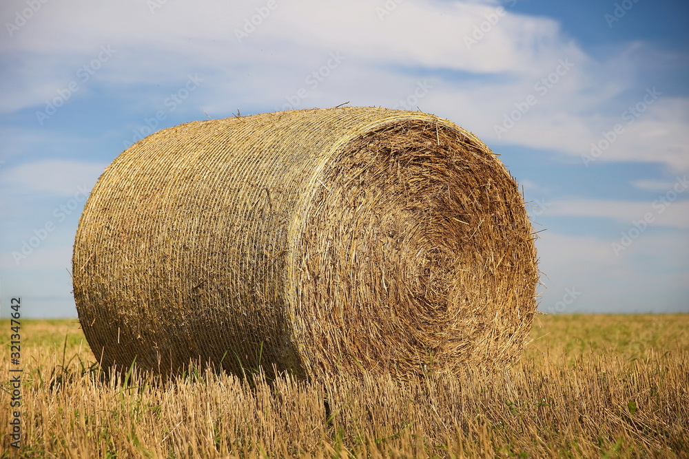 round golden haystack on the field in autumn