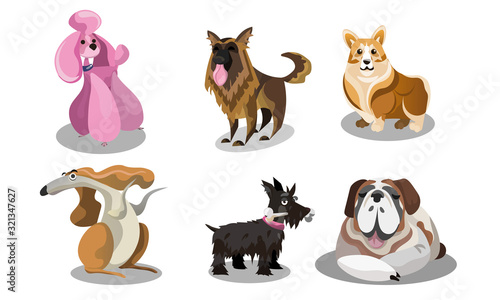Fototapeta Naklejka Na Ścianę i Meble -  Set of funny cute various dogs breeds vector illustration