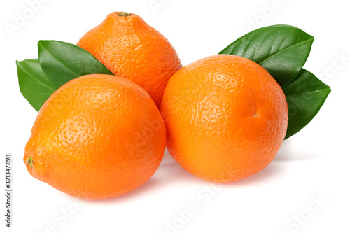 Orange clementine or minneola tangelo with green leaves isolated on white background. Tangerine. Citrus fruit.