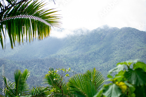 Top of Mountain Peaks in El Yunque Rainforest