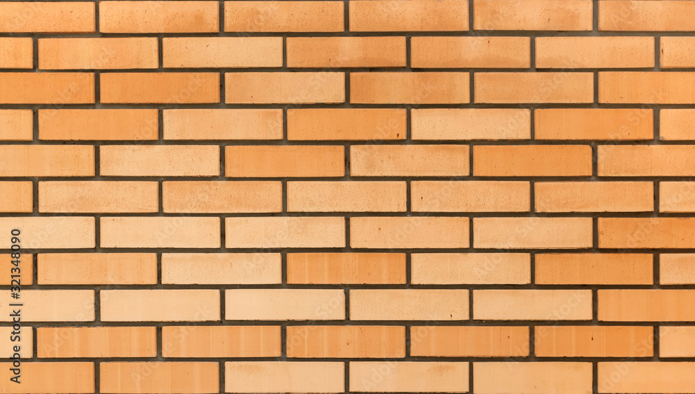 Fragment of a brick wall. Fragment of a brick wall.