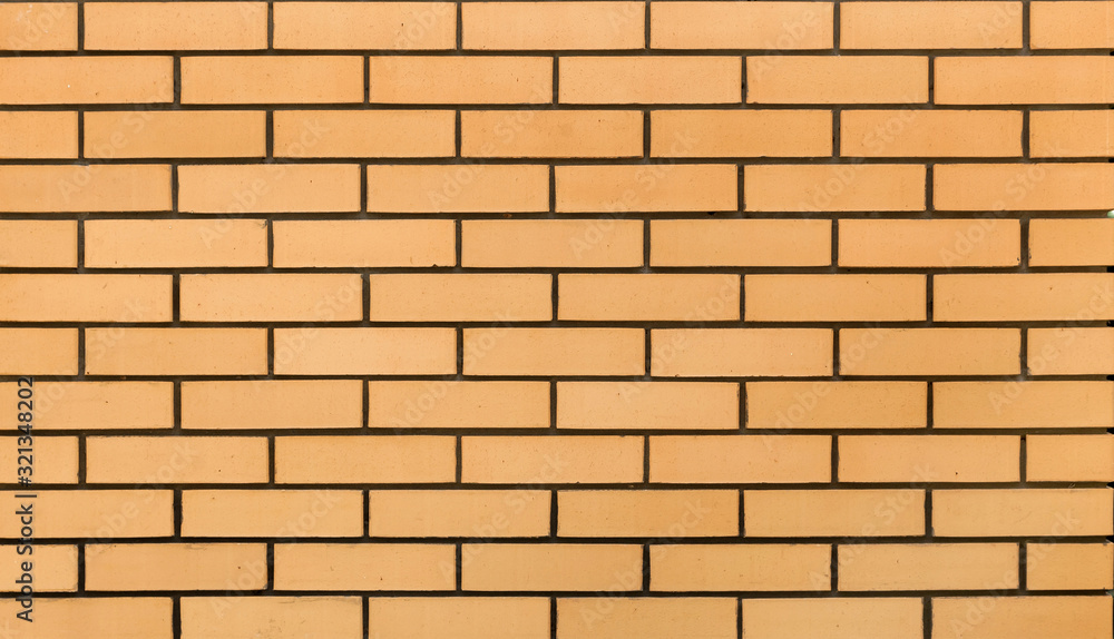 Fragment of a brick wall. Fragment of a brick wall.