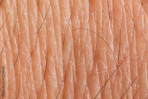 Wallpaper Mural European human skin with hairs, closeup. Care and health. Torontodigital.ca