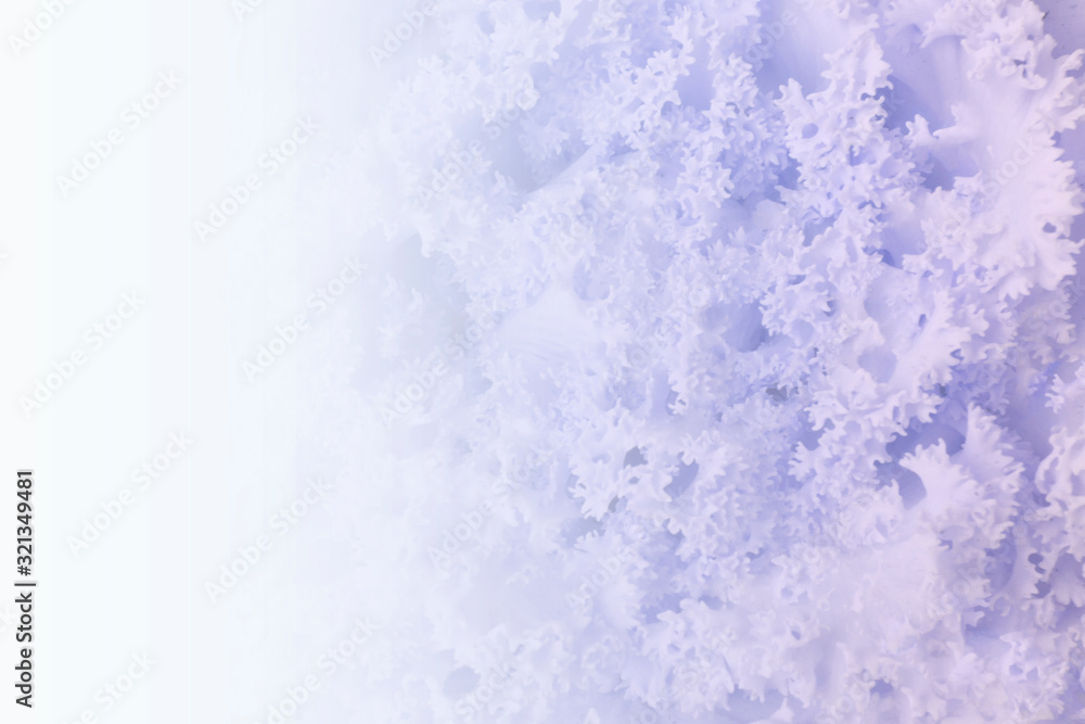abstract rough texture background abstract rough texture background