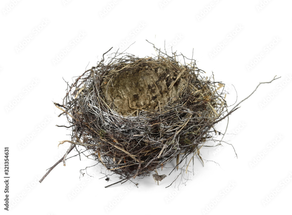 Obraz premium Puste gniazdo na białym tle.