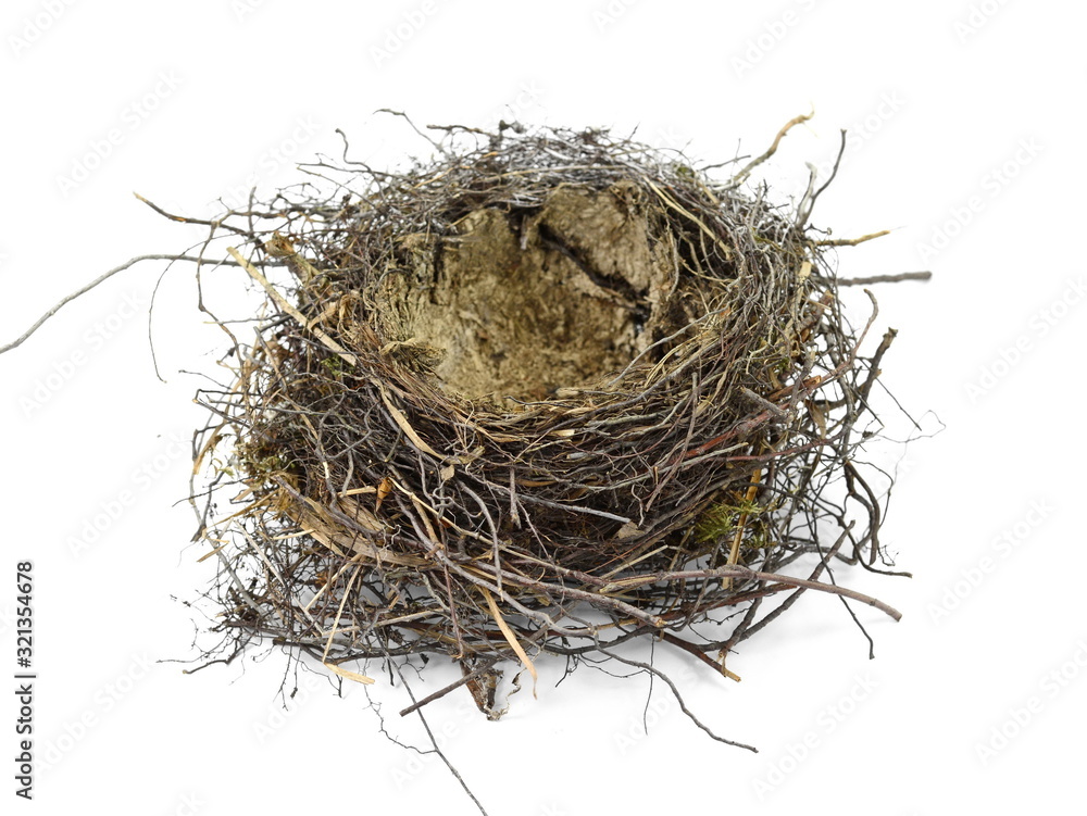 Obraz premium Puste gniazdo na białym tle.