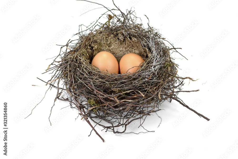 Nest with eggs. isolated on white background. Beautiful bird nest with eggs. Nest with eggs. isolated on white background. Beautiful bird nest with eggs.