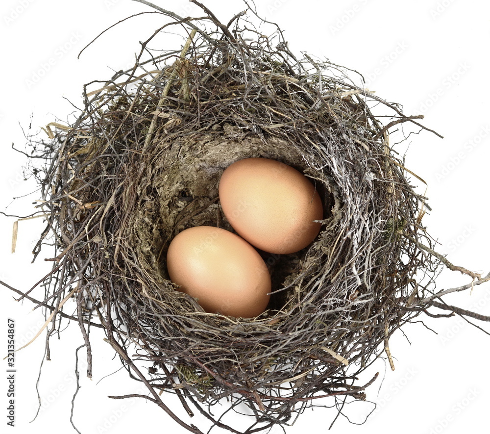 Nest with eggs. isolated on white background. Beautiful bird nest with eggs. Nest with eggs. isolated on white background. Beautiful bird nest with eggs.