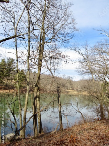 A view of the lake 