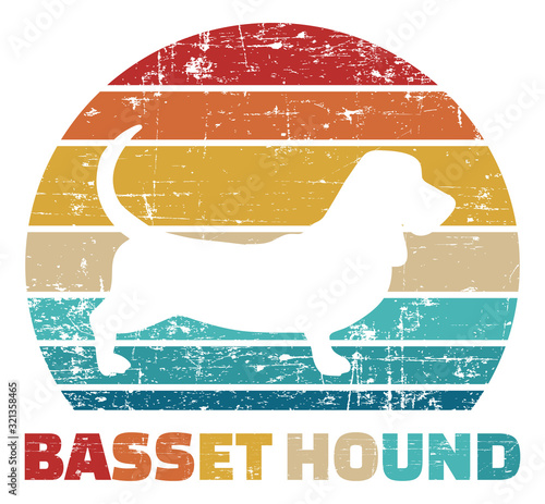 Basset Hound vintage color