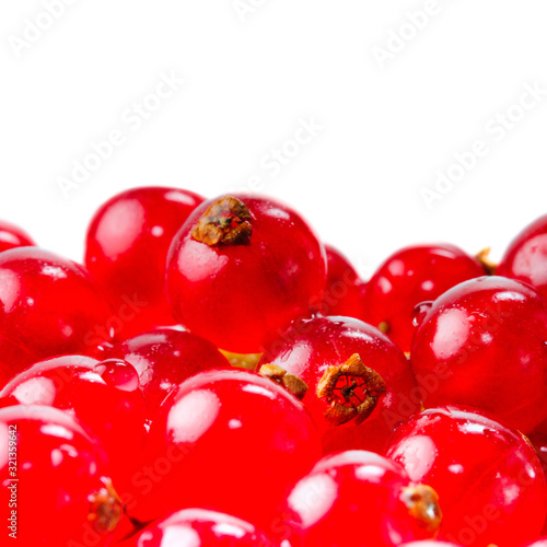 Wallpaper Mural Close-up photo of red currant berry isolated over white background. Torontodigital.ca