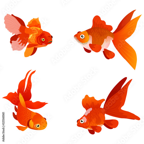 Gold fish isolated on white background, vector illustration of gold fish.