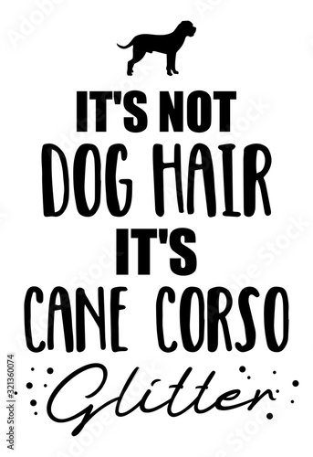 It's not dog hair, it's Cane Corso glitter