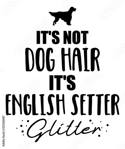 It's not dog hair, it's English Setter glitter