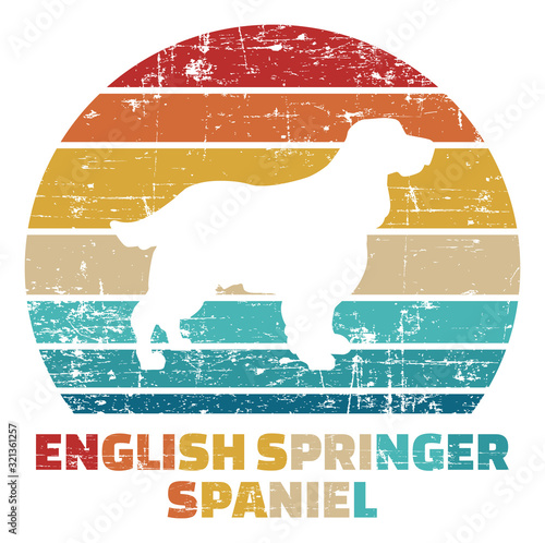 English Springer Spaniel vintage color