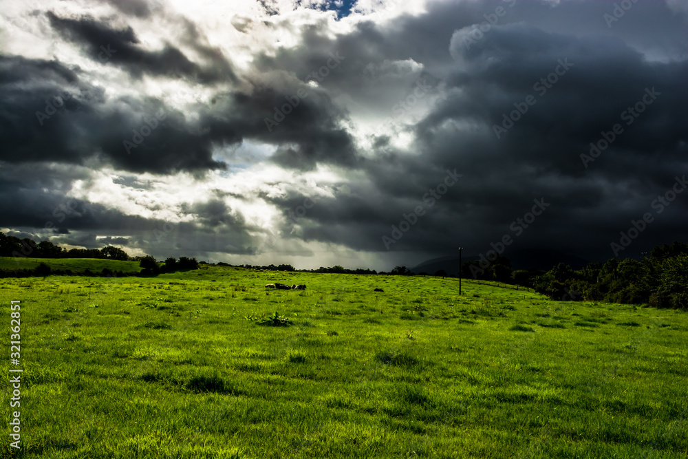 Pasture and Heavy Clouds in Ireland
