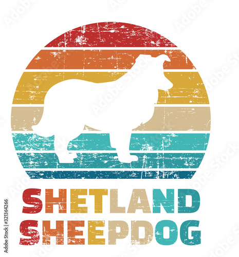Shetland Sheepdog vintage color