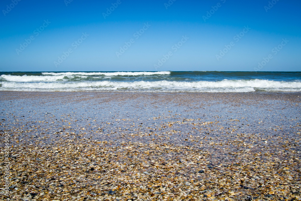 Ocean rolling over sea shells