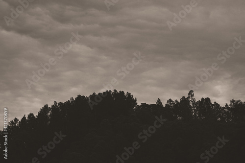 clouds in the mountains