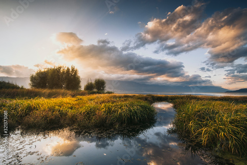 Wetlands