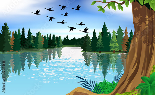 landscape of the lagoon in day time