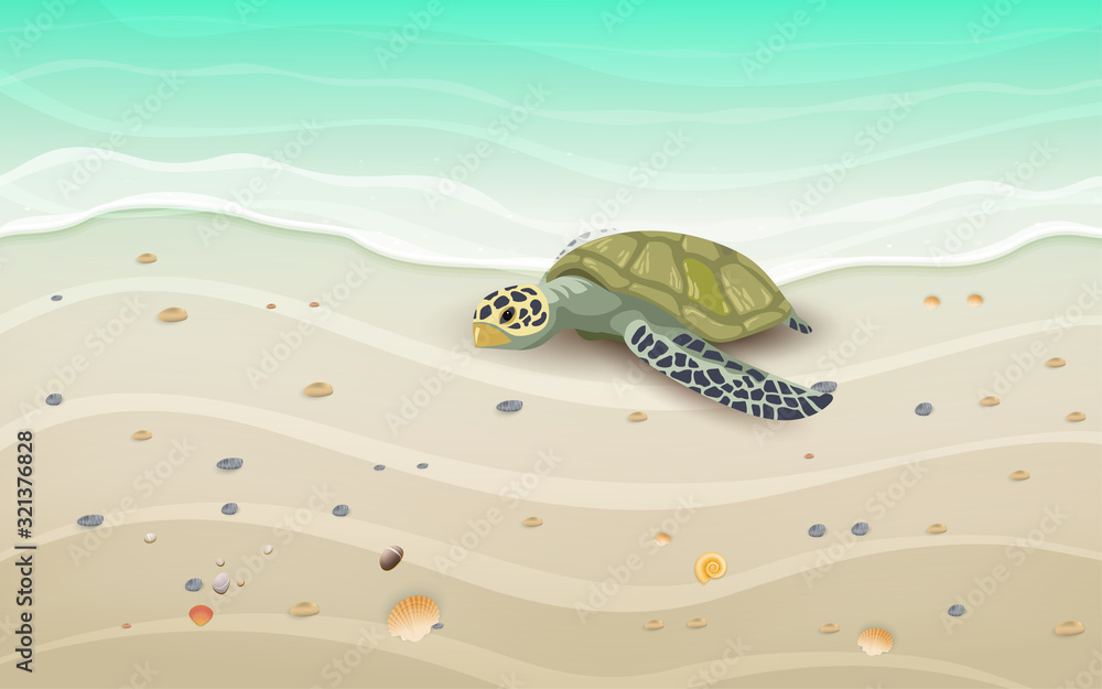 Sea turtle on the beach Stock Vector | Adobe Stock