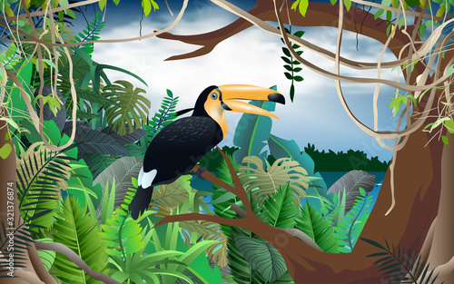 Horn bill bird in the jungle