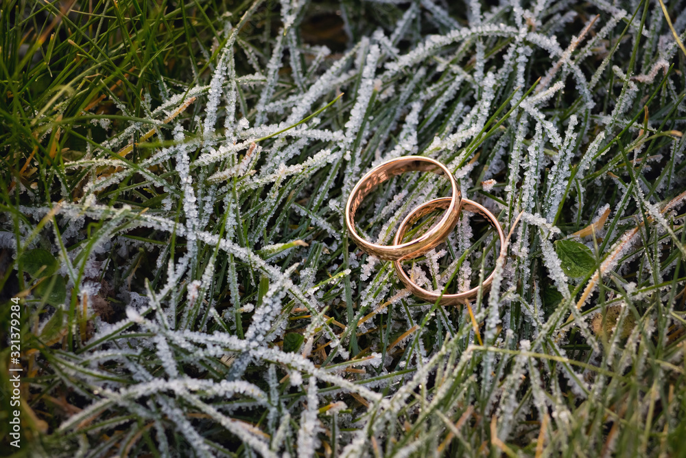 gold wedding rings on frozen grass