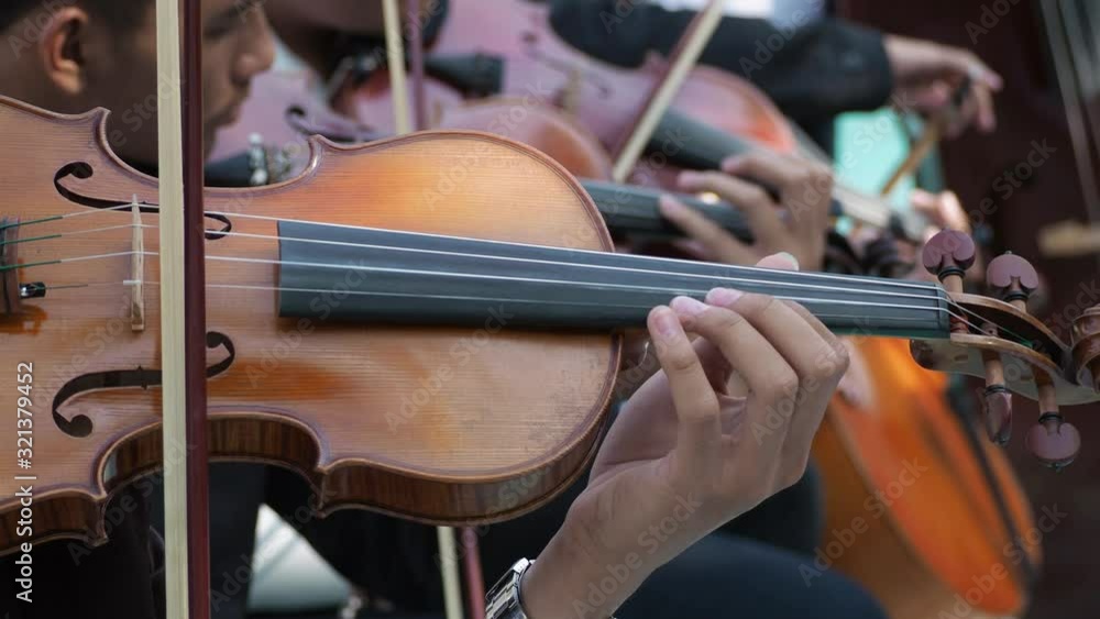 Musicians playing violins in the garden Musicians playing violins in the garden