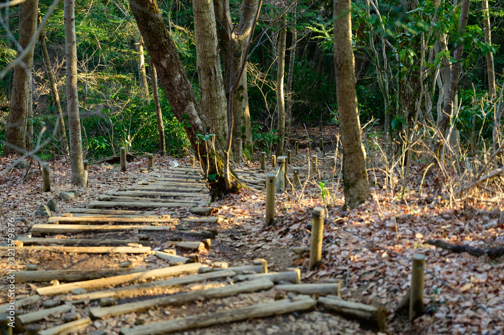 Fototapeta premium 登山道