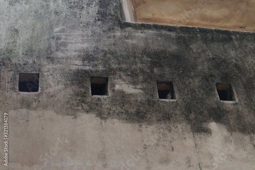 Sparrows perch in the building's ventilation holes