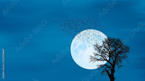 Silhouette of lone tree with moon with full moon "Elements of this image furnished by NASA" © muratart