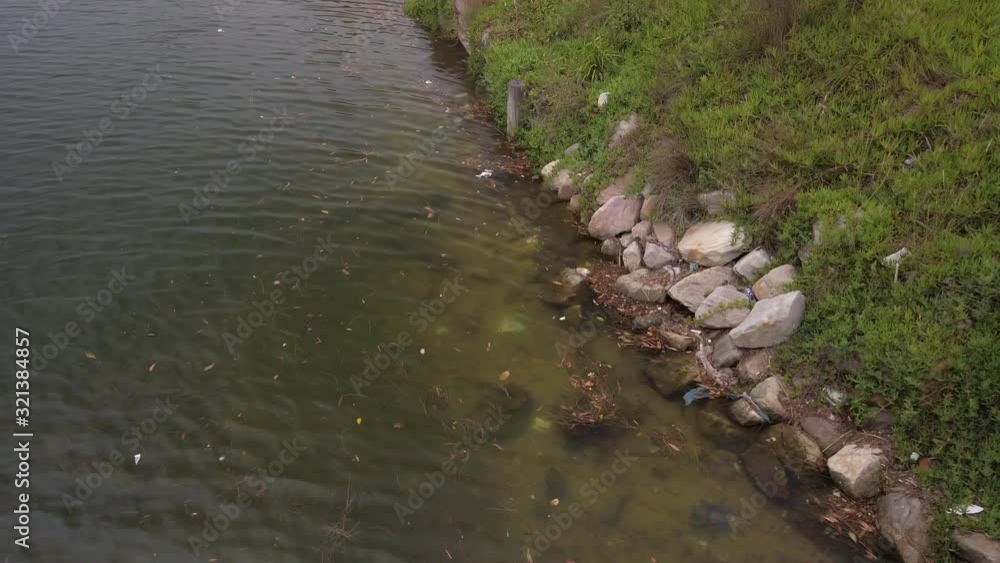 Mildly polluted river with trash and dried leaves in Sydney Australia Mildly polluted river with trash and dried leaves in Sydney Australia