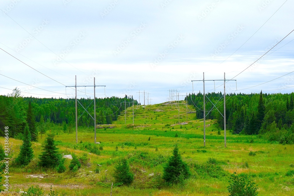 Hydroelectric power lines in a clearing in rural northern Ontario, Canada