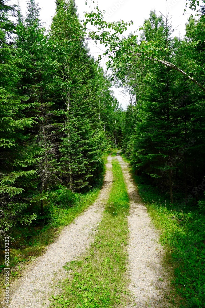 Gravel Road at Pelican Pouch Lake, Ontario, Canada Gravel Road at Pelican Pouch Lake, Ontario, Canada