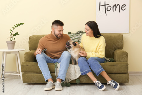 Young couple with dog watch...