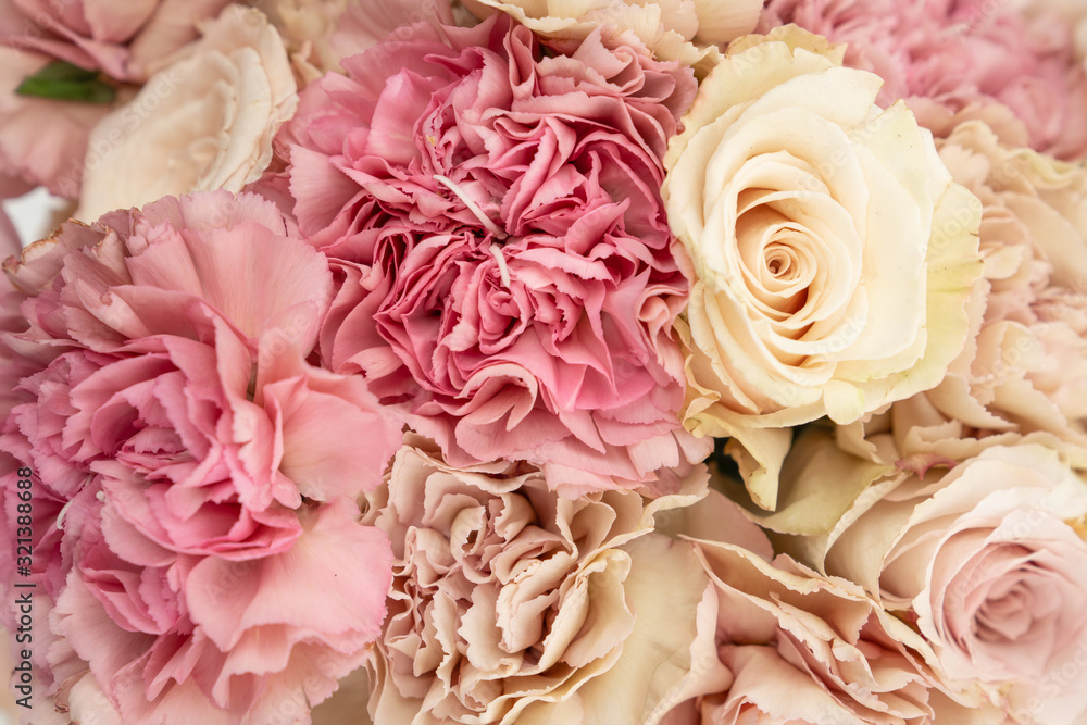 Cream and blush roses and carnations in a fresh flower bouquet on white background Cream and blush roses and carnations in a fresh flower bouquet on white background