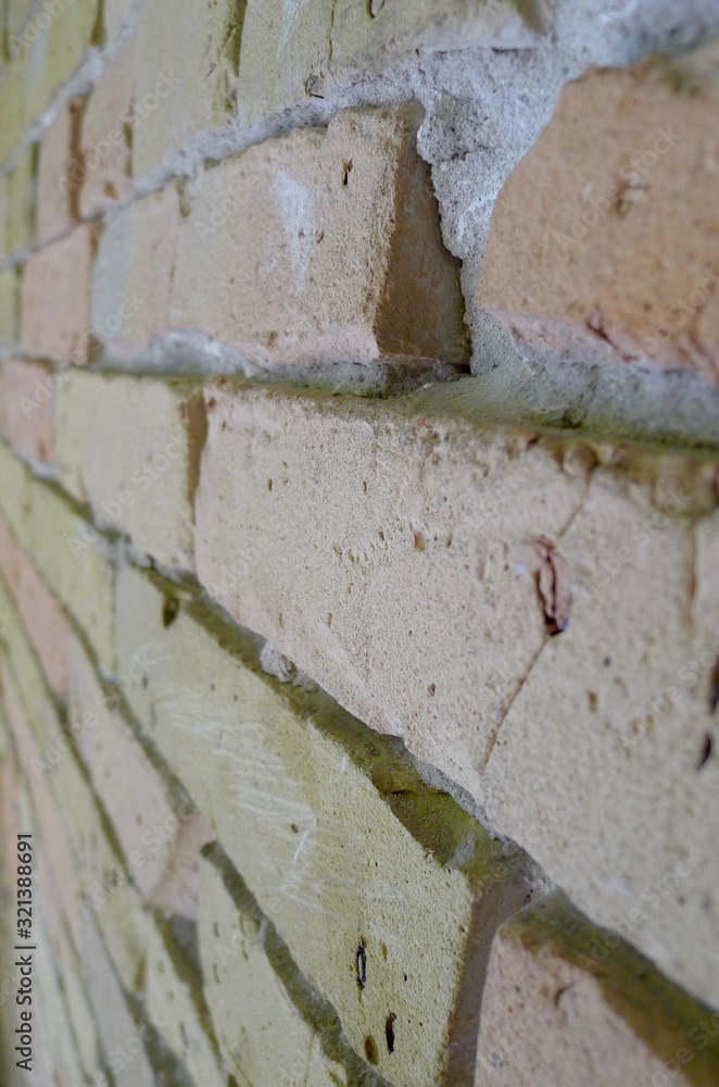 texture of old  brick wall