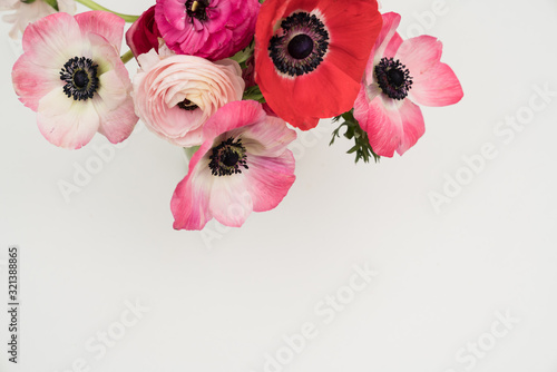 Cuadro en lienzo Pink blush and maroon ranunculus and anemone flowers flat lay