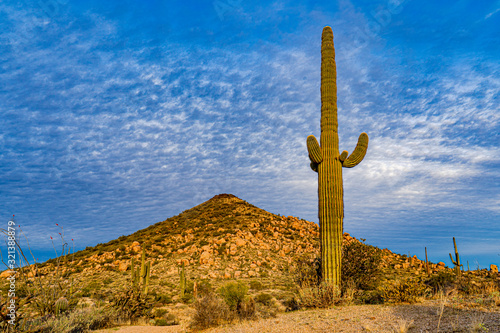 A bright clody sky highlights the desert landsccape photo