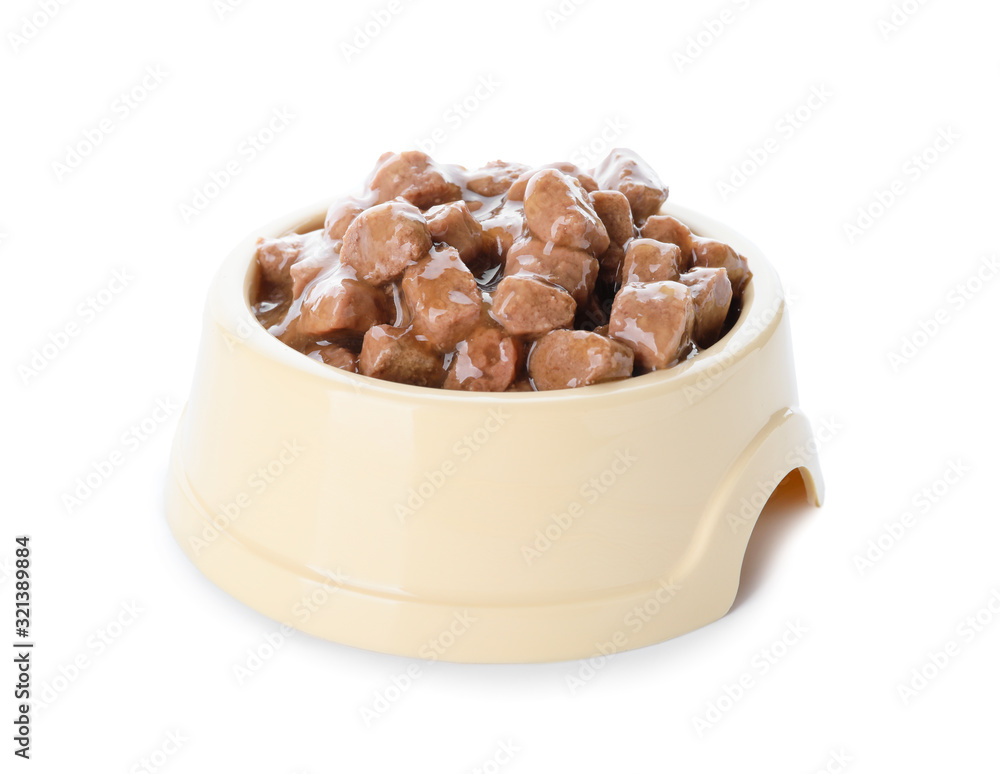 Obraz premium Bowl with pet food on white background