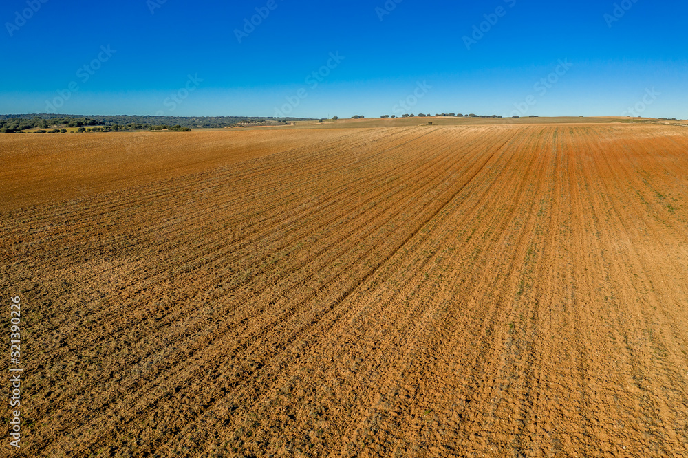 Lines on a cultivated agriculture field in Spain with blue sky