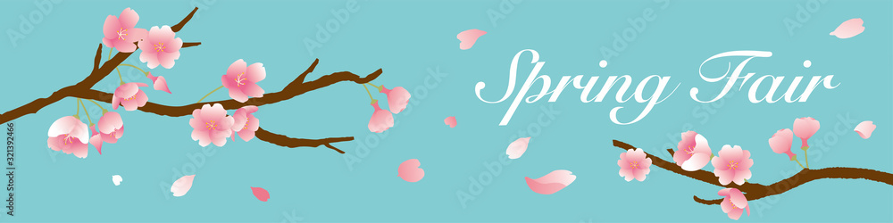 Fototapeta premium 桜 キャンペーン バナー 桜吹雪