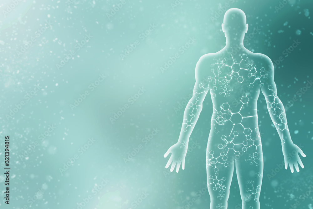 Muscle 2d 2d illustration Human Male Muscle Body Stock Illustration | Adobe Stock